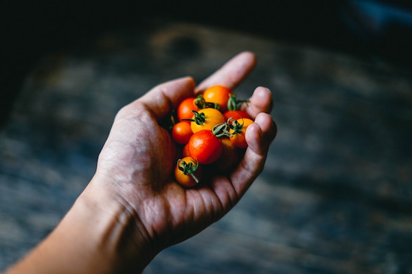 Vendita di prodotti alimentari online: requisiti e adempimenti